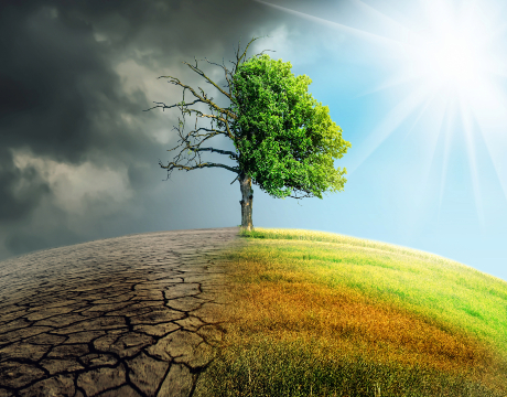 UCD\'s institute for multidiscipline environmental, climate and sustainability research, including water, biodiversity, plants for the future, sustainable communities, people, work and society, and the built environment.