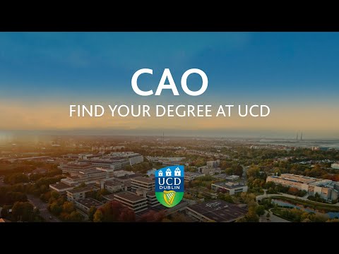 Undergraduate