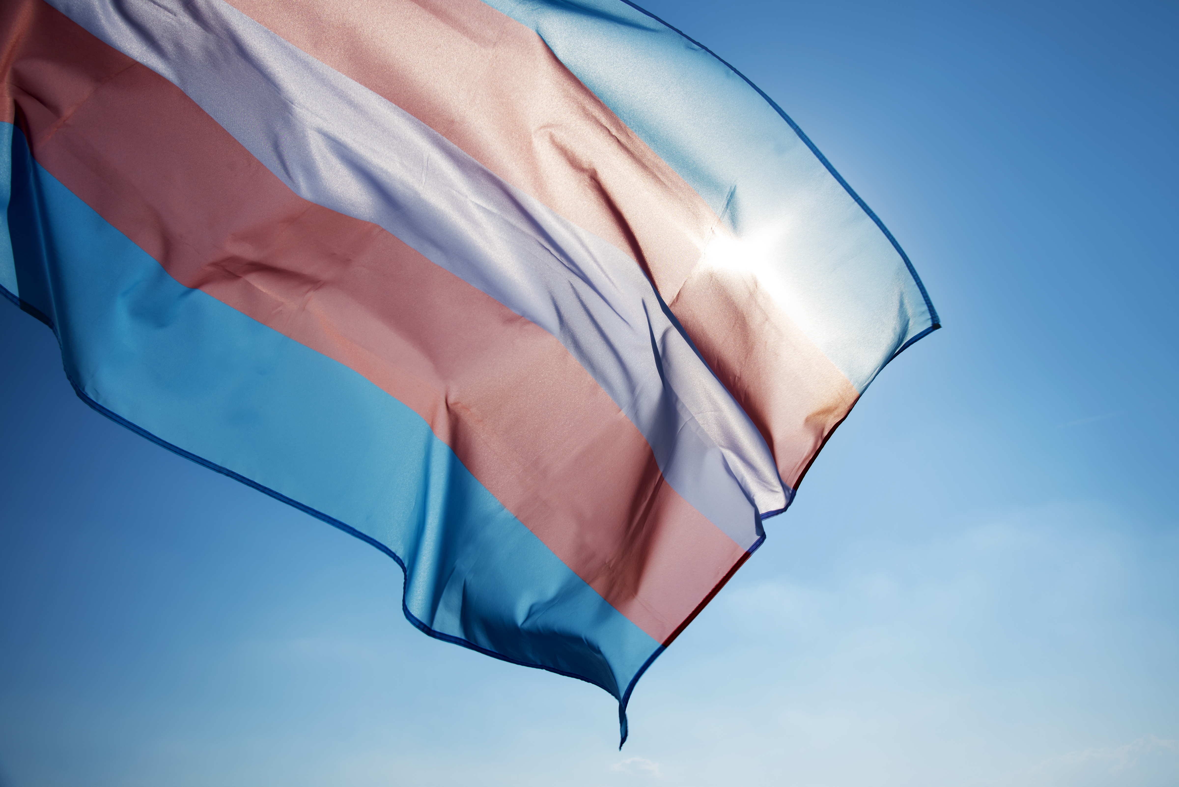 Bilingual gender diversity website