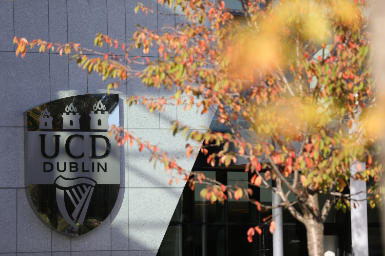 UCD Autumn Small